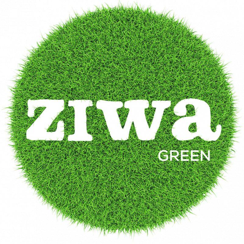 Logo_ZIWA-Green_2022-800x800